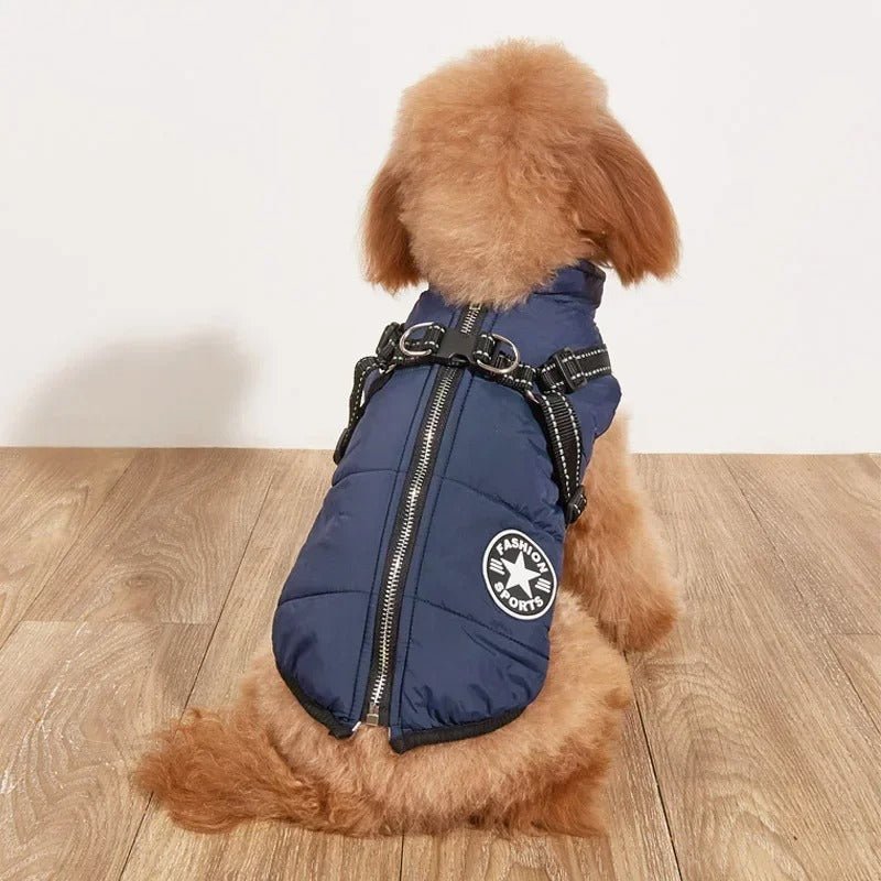 Manteau pour chien | SmallDogy™ - MyDoggy - Shop
