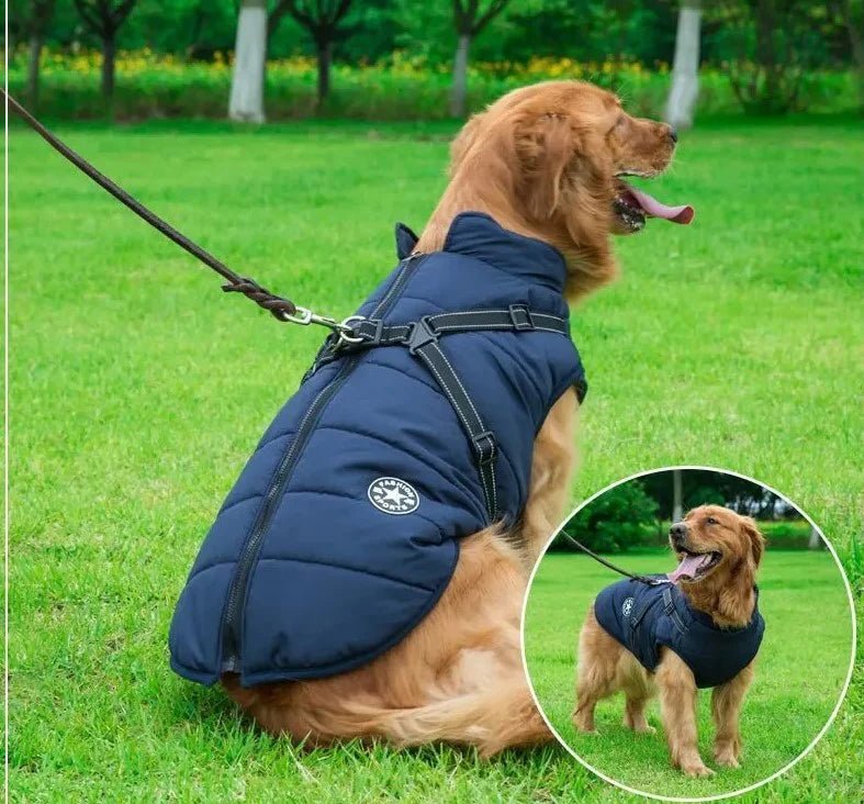Manteau pour chien | BigDogy™ - MyDoggy - Shop