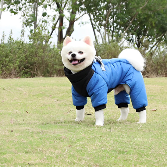 Manteau pour chien complet avec manches et col haut