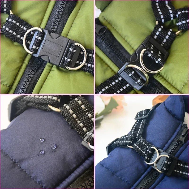 Manteau pour chien | SmallDogy™ - MyDoggy - Shop