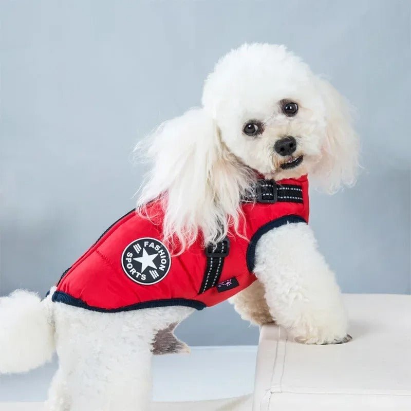 Manteau pour chien | SmallDogy™ - MyDoggy - Shop