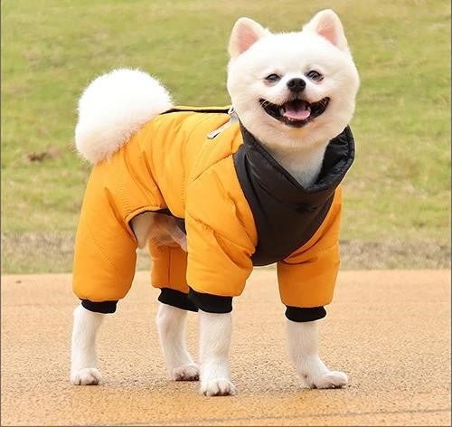 Manteau pour chien | ChienStylé™ - MyDoggy - Shop