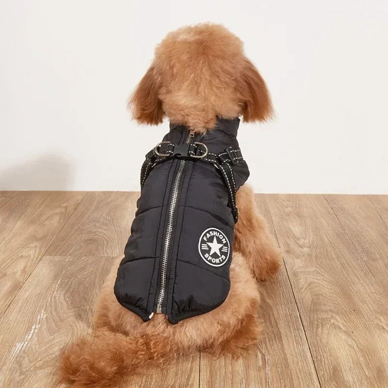 Manteau pour chien | SmallDogy™ - MyDoggy - Shop