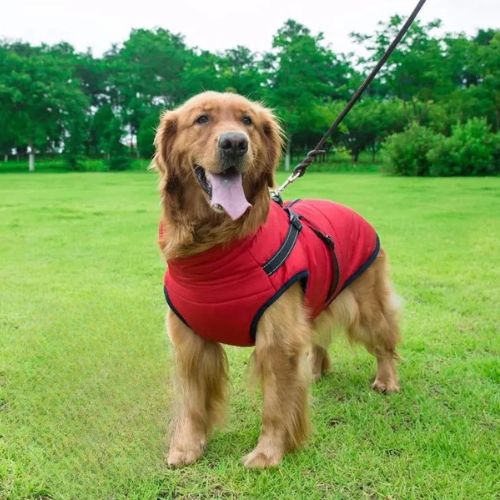 Manteau pour chien | BigDogy™ - MyDoggy - Shop