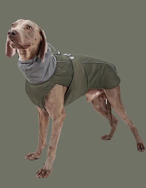 Manteau pour chien | BigPawGuardâą - MyDoggy - Shop