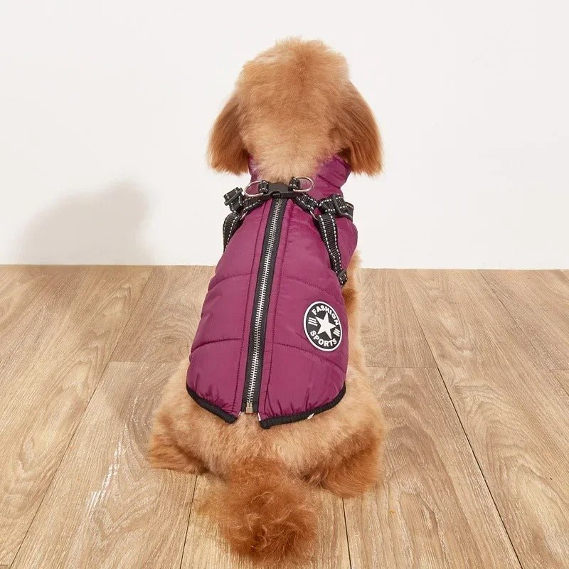 Manteau pour chien | SmallDogy™ - MyDoggy - Shop