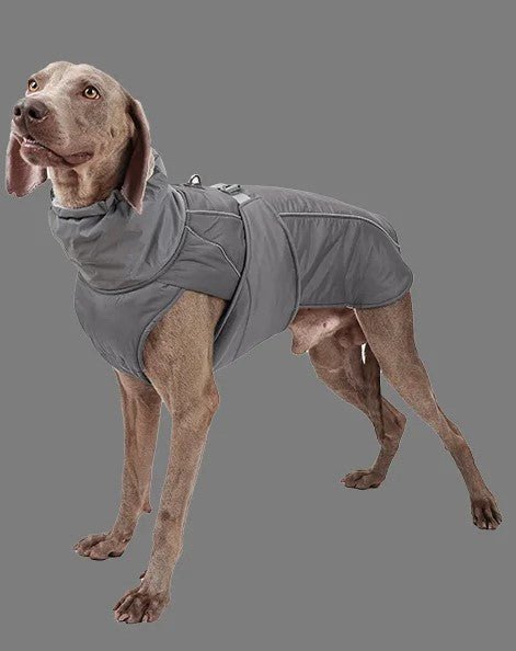 Manteau pour chien | BigPawGuardâą - MyDoggy - Shop