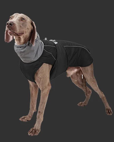 Manteau pour chien | BigPawGuardâą - MyDoggy - Shop