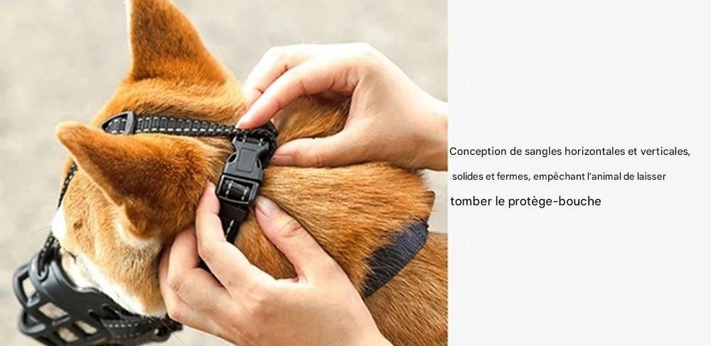 Muselière | Silicone Souple - MyDoggy - Shop