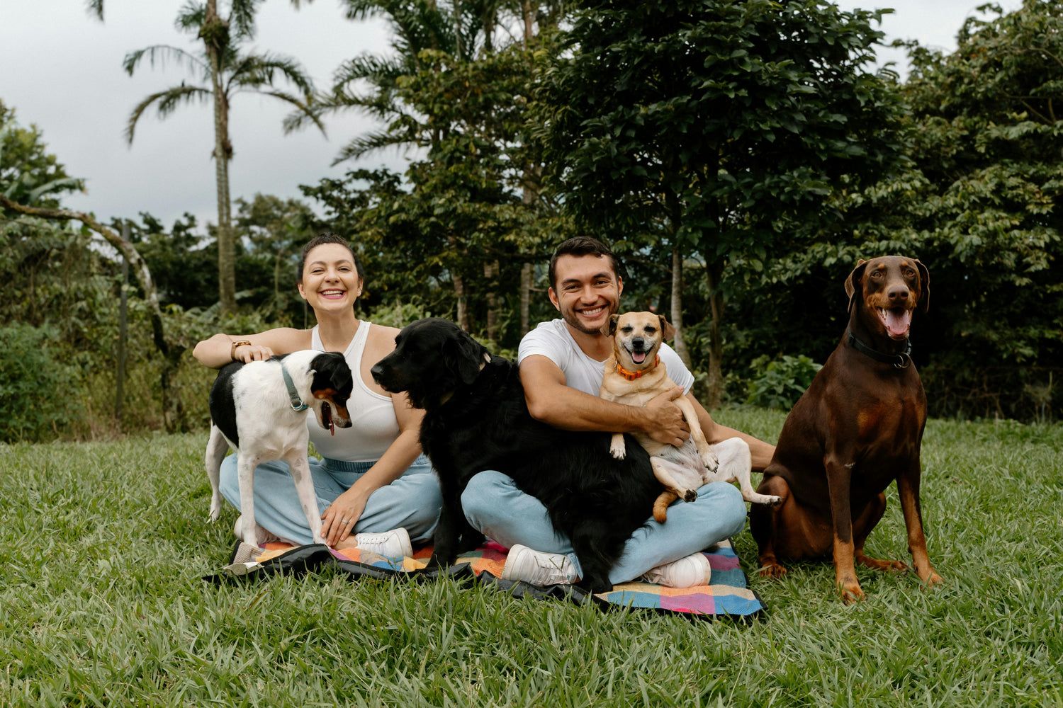 Mydoggy shop famille
