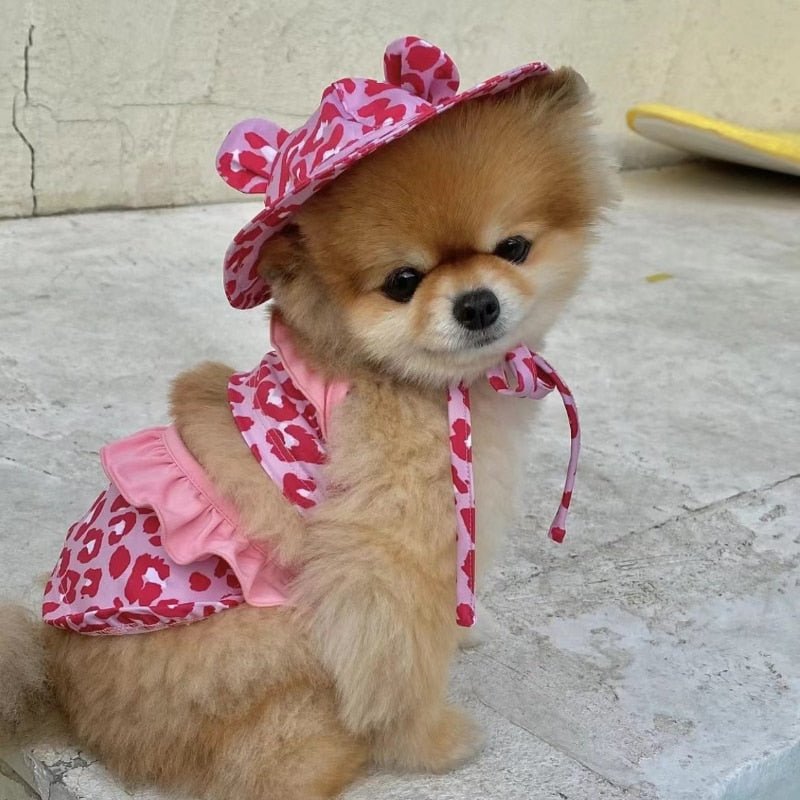 Piscine chien Maillot de bain|CARE - SWIMWEAR™ - MyDoggy - Shop