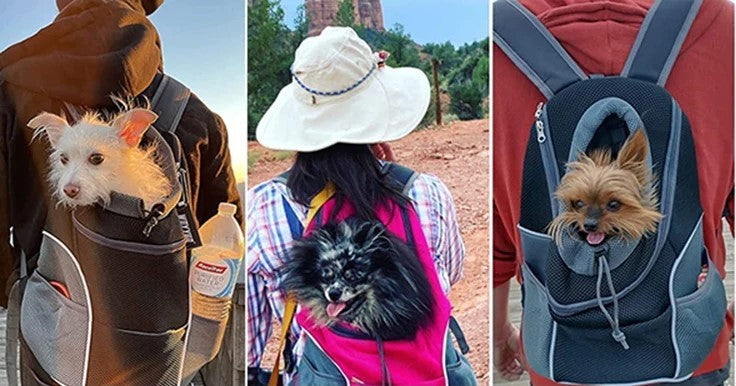 Sac a dos chien