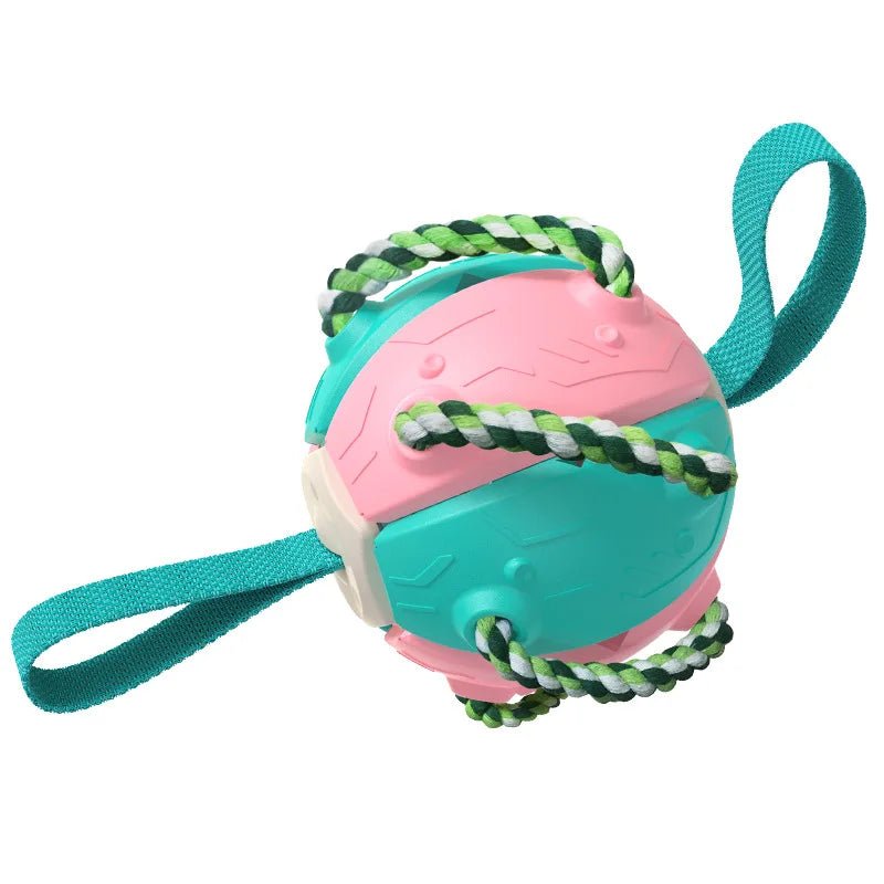 Balle pour chien|BondiBall Toutou™ - MyDoggy - Shop