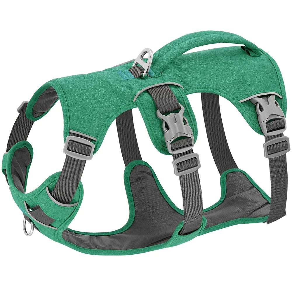 Harnais anti traction respirant pour chien couleur verte