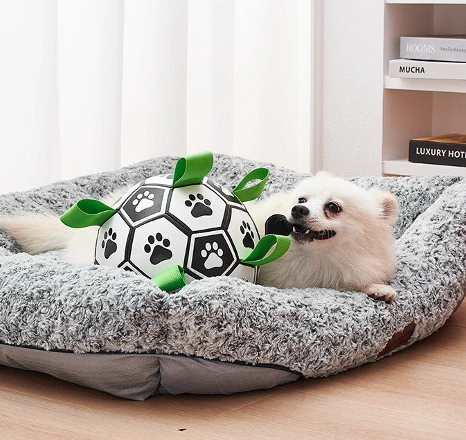 BALLE INTERACTIVE POUR CHIEN|ToyBall™ - MyDoggy - Shop