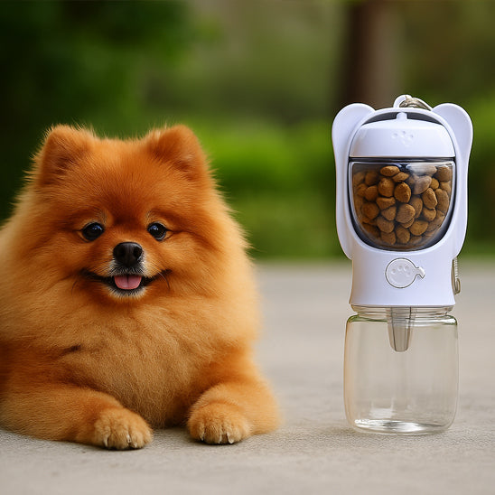 Gourde pour chien|HydraDogâą