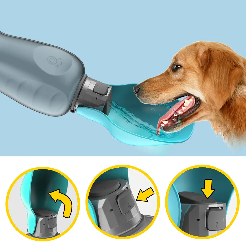 Gourde pour chien|Revolsortiesâą