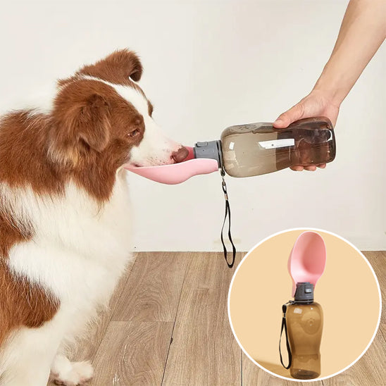 Gourde pour chien|Revolsortiesâą