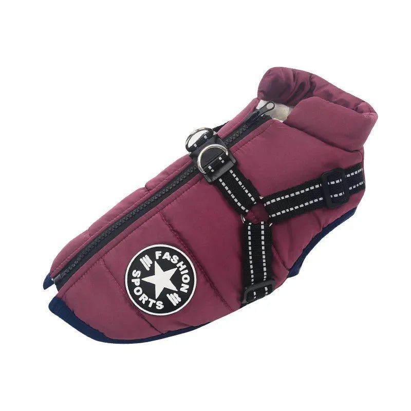 Manteau pour chien | BigDogy™ - MyDoggy - Shop