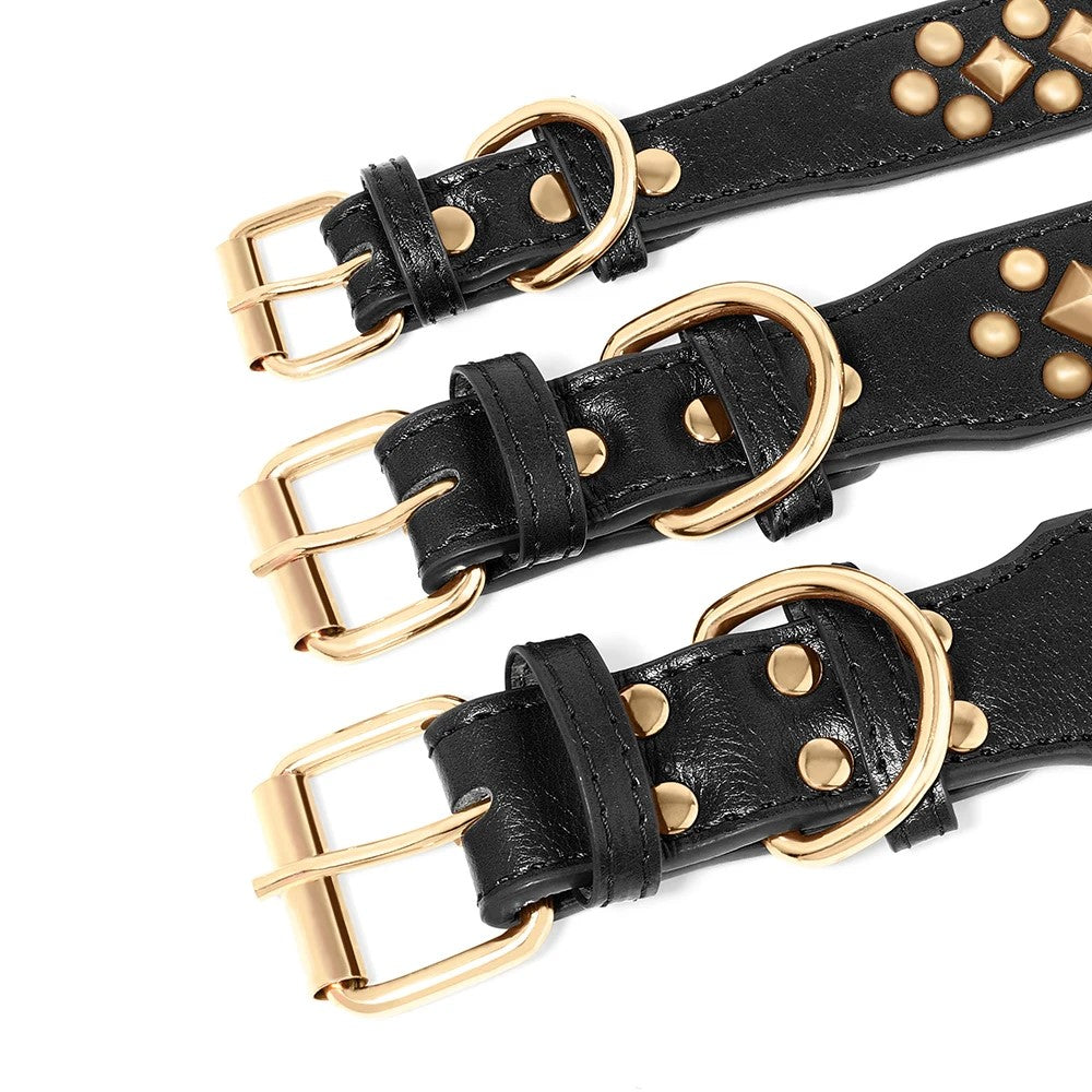 Collier chien noir cuir clouté avec boucle dorée