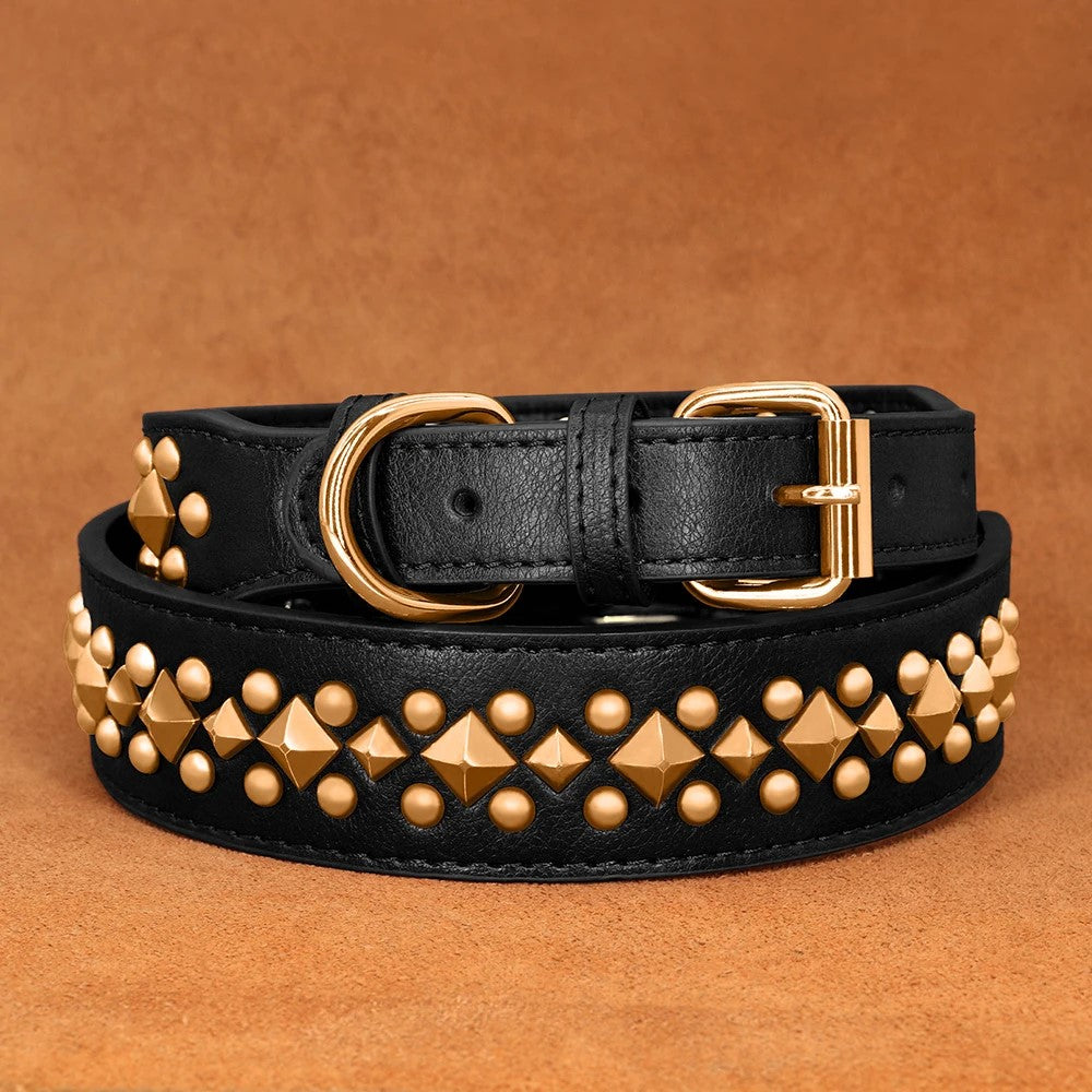 Joli collier chien noir en cuir clouté avec boucle dorée