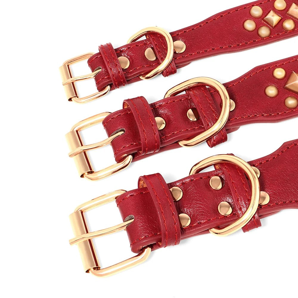 collier chien rouge boucle de fermeture