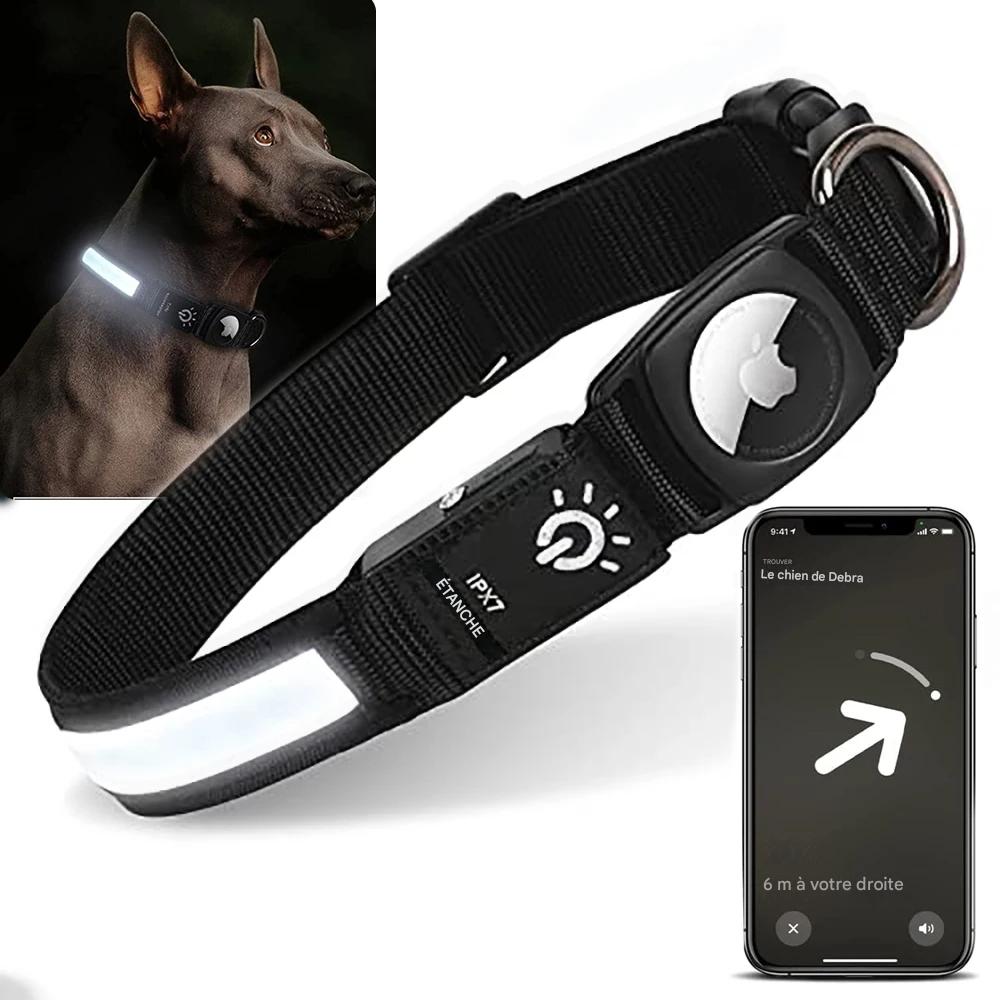 Collier lumineux chien|NoctiTrace™