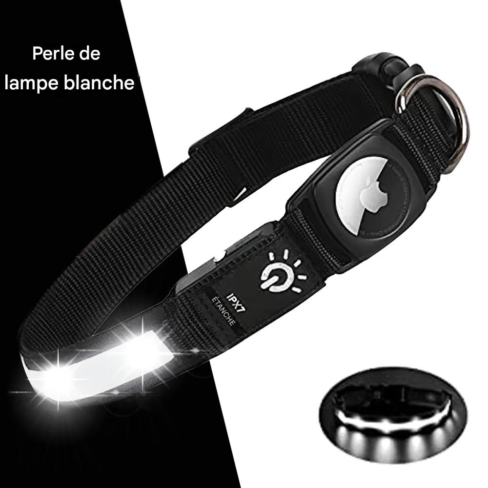 Collier lumineux chien|NoctiTrace™