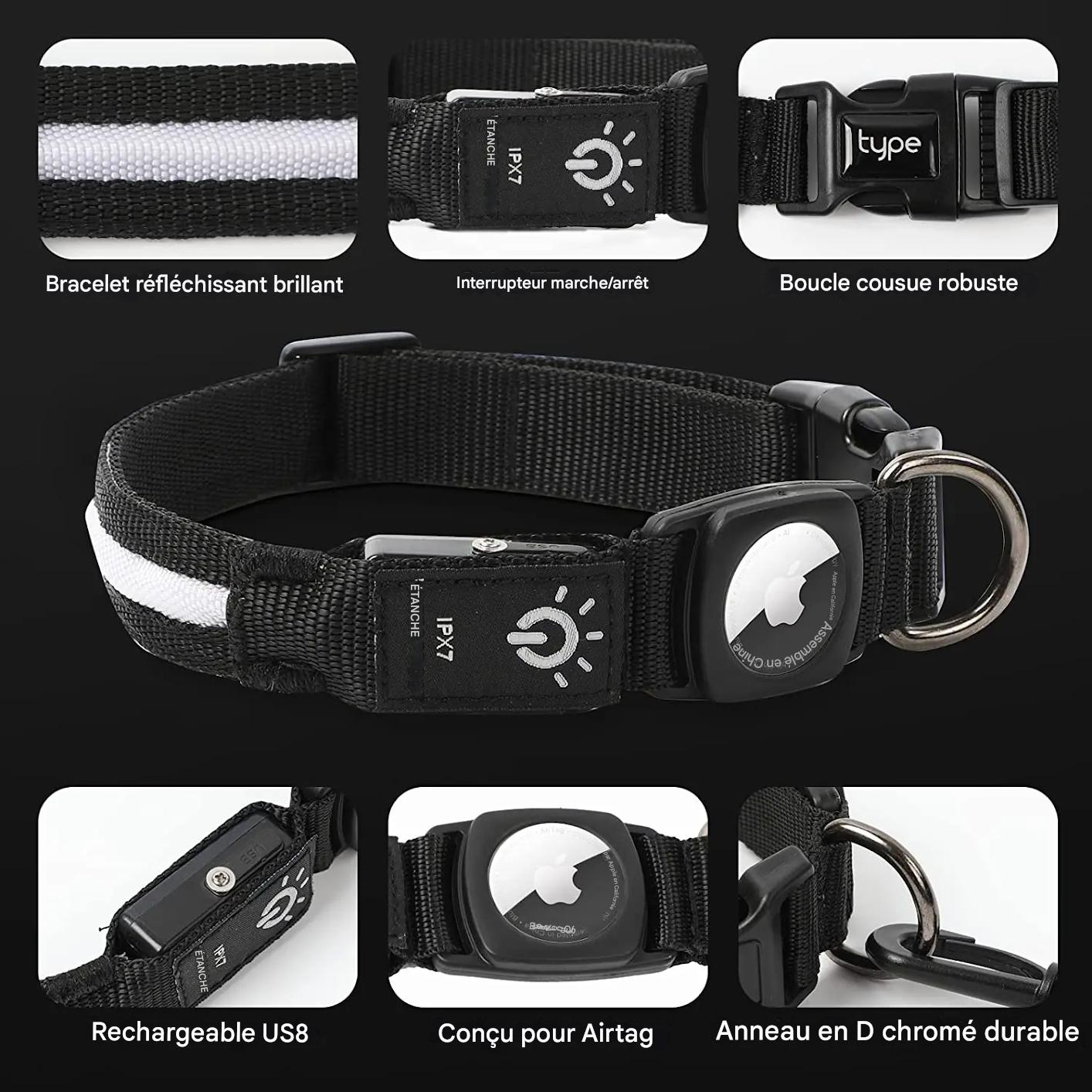 Collier lumineux chien|NoctiTrace™