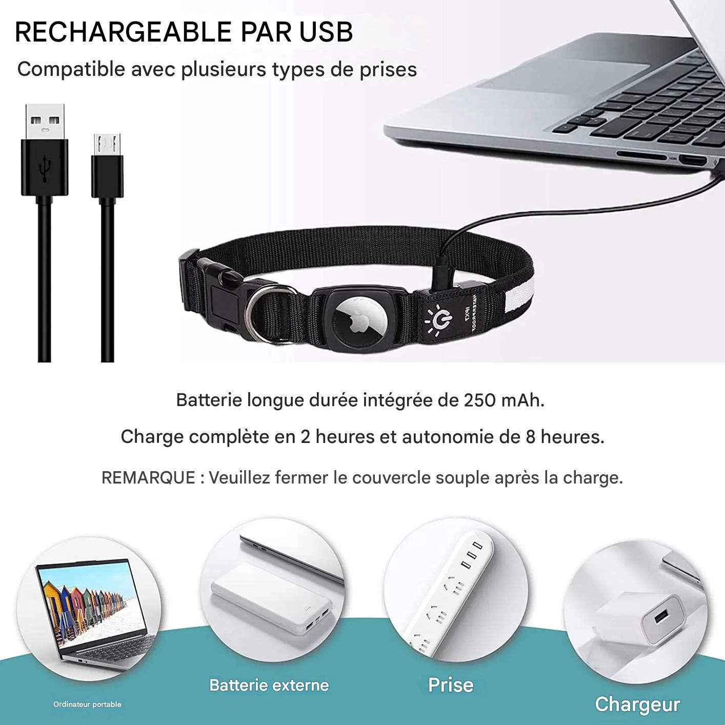 Collier lumineux chien|NoctiTrace™