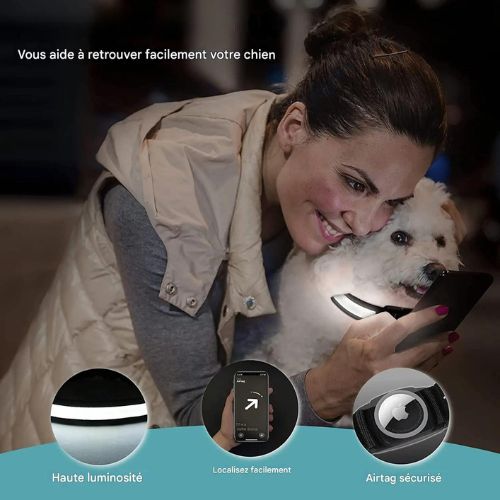 Collier lumineux chien|NoctiTrace™