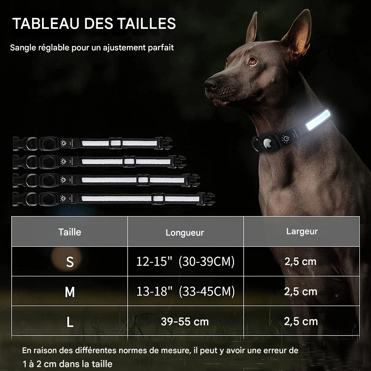 Collier lumineux chien|NoctiTrace™