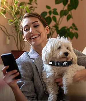 Collier lumineux chien|NoctiTrace™