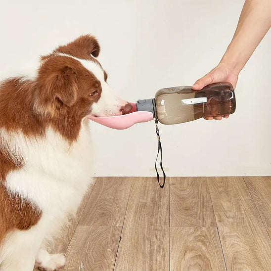 Gourde pour chien|Revolsortiesâą