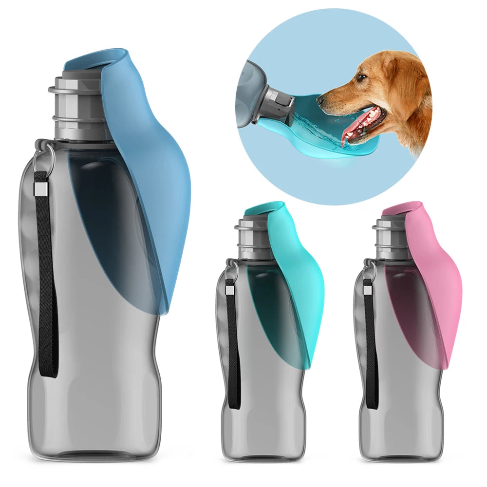 Gourde pour chien|Revolsortiesâą