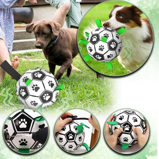 BALLE INTERACTIVE POUR CHIEN|ToyBall™ - MyDoggy - Shop