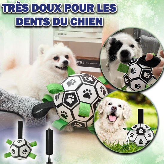 BALLE INTERACTIVE POUR CHIEN|ToyBall™ - MyDoggy - Shop