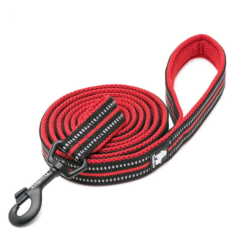 laisse pour chien rouge