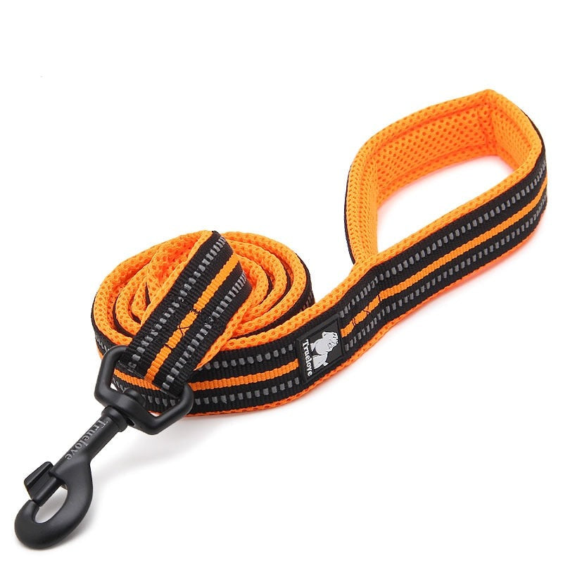 laisse pour chien orange