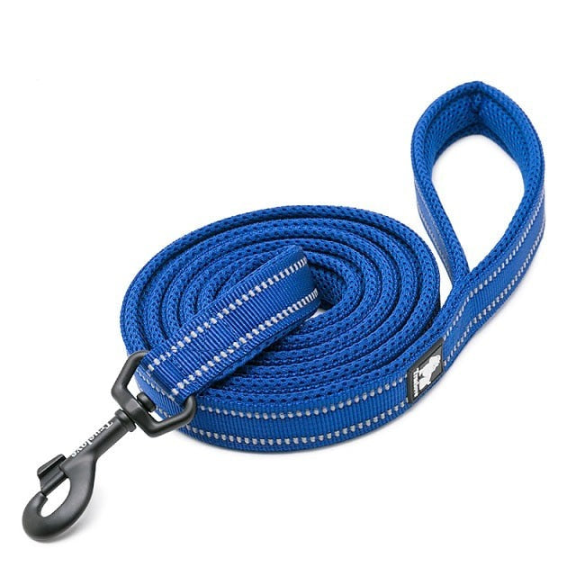 laisse pour chien bleu