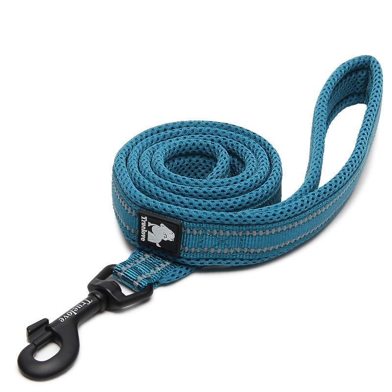 laisse pour chien bleu ciel