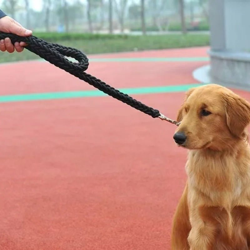 Laisse pour chien | ComfortGuide™ - MyDoggy - Shop