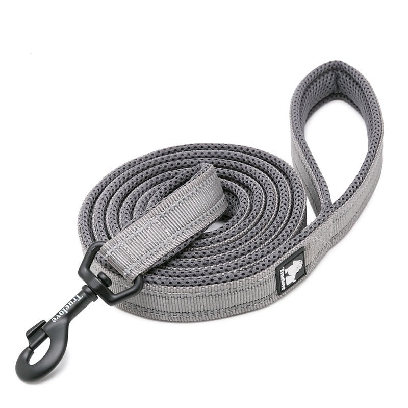 laisse pour chien gris
