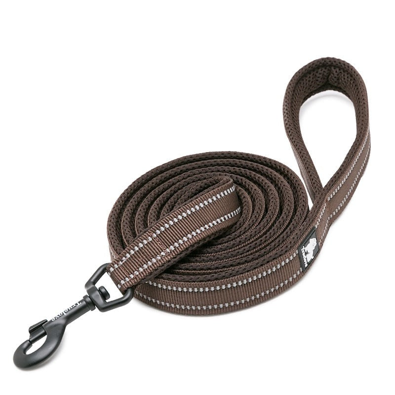 laisse pour chien marron