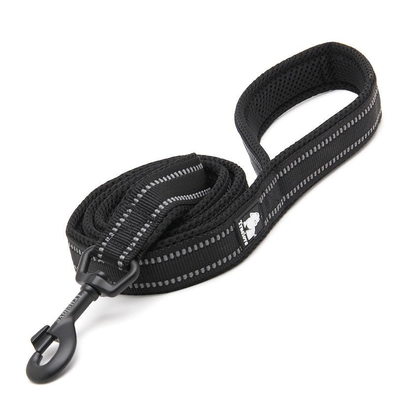 laisse pour chien noire