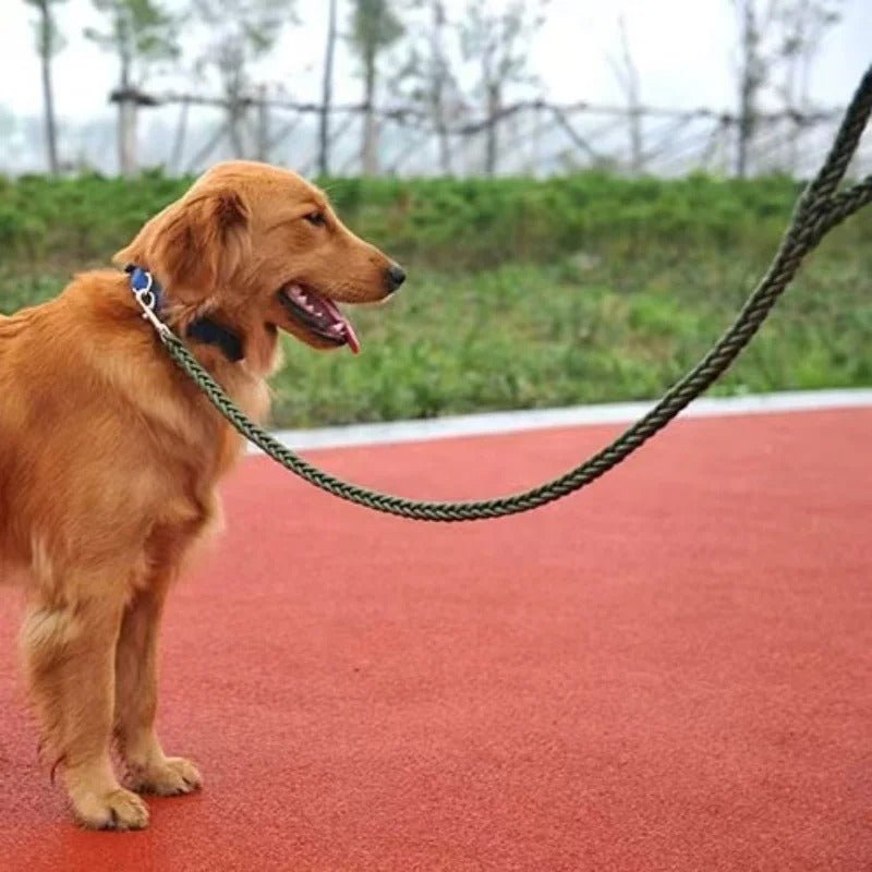 Laisse pour chien | ComfortGuide™ - MyDoggy - Shop