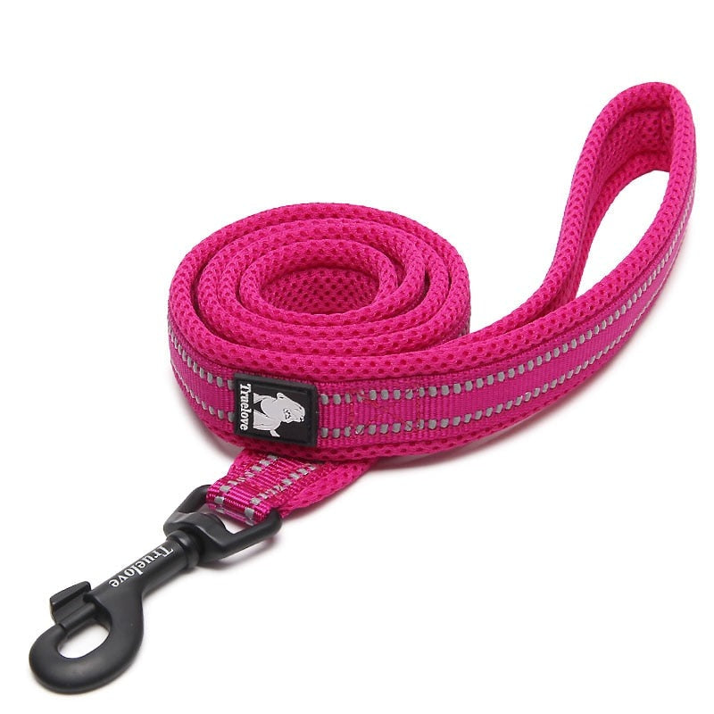 laisse pour chien rose