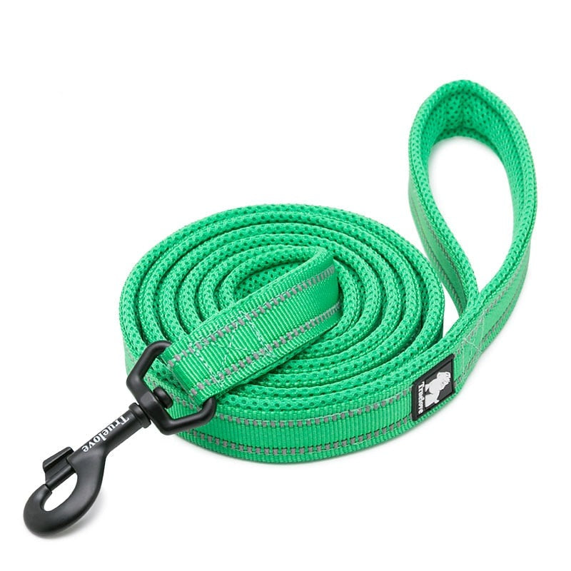 laisse pour chien vert clair
