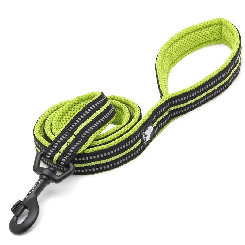 laisse pour chien verte