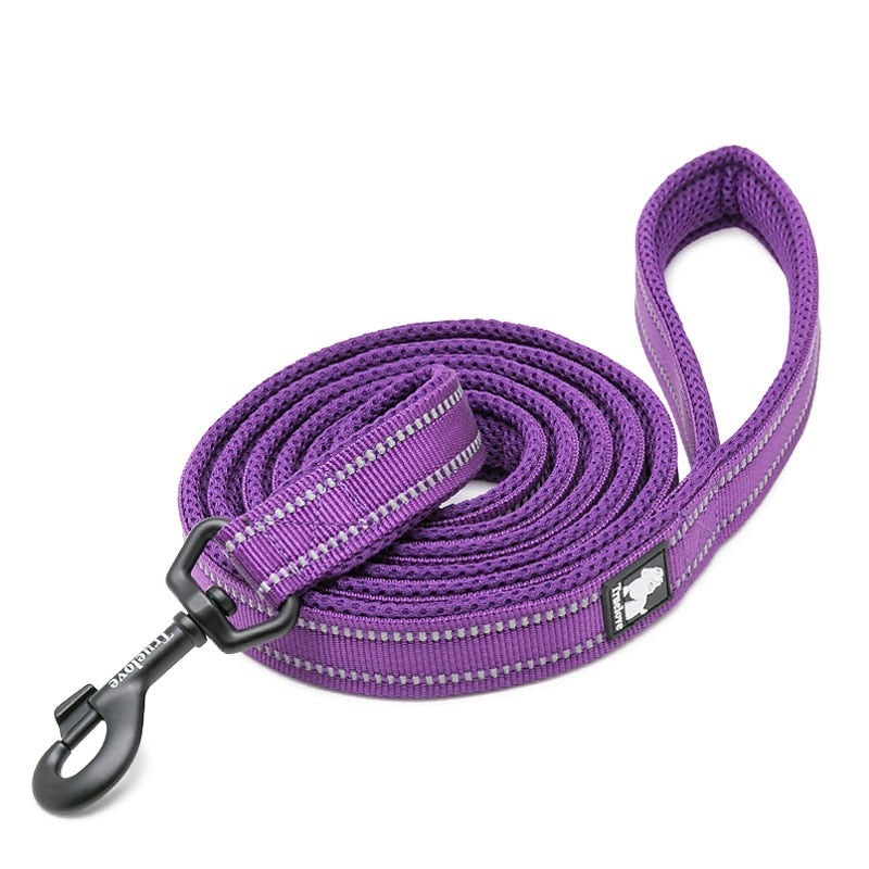 laisse pour chien violet